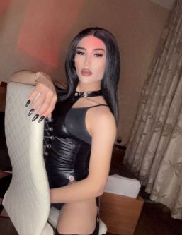 ����� �������, ������������, +7 (989) 271-2220