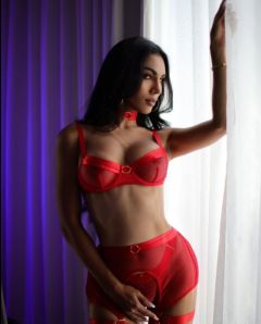 ����������� ���������, 24, ������������